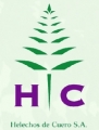 Helechos de Cuero